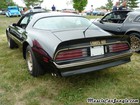 1977 Trans Am TA Left Rear