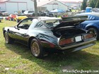 1977 Trans Am TA Rear Left