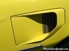 1978 Trams Am 400 Fender Vent