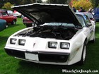 1980 Trans Am Pace Car