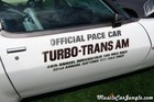 1980 Trans Am Pace Car Door Decal