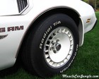 1980 Trans Am Pace Car Front Fender