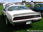 1980 Trans Am Pace Car Rear