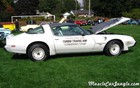 1980 Trans Am Pace Car Right Profile