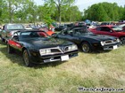 Trans Ams